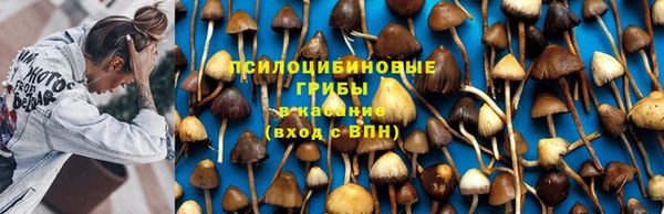 тгк Алзамай